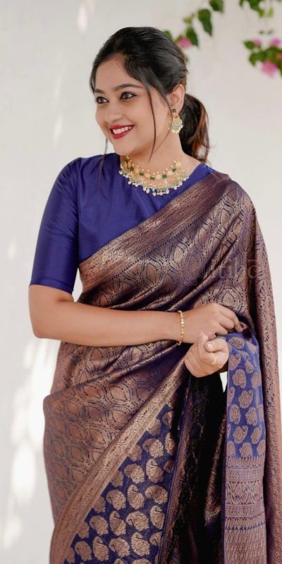 Beautiful Navy Blue Color Soft Lichi Silk With Ordinary Design Saree