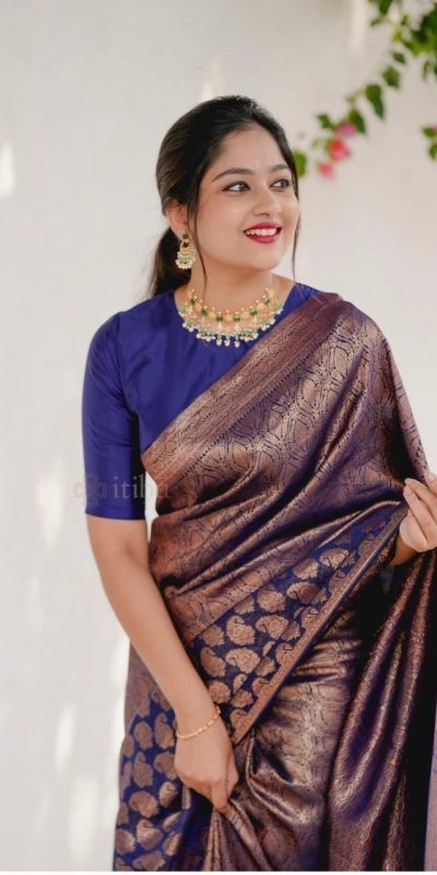 Beautiful Navy Blue Color Soft Lichi Silk With Ordinary Design Saree