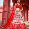 Traditional Red Color Dola Silk Patola Foil Printed Lehenga Choli