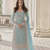 Adorable Sky Blue Color Butterfly Net And Embroidery Work Sharara