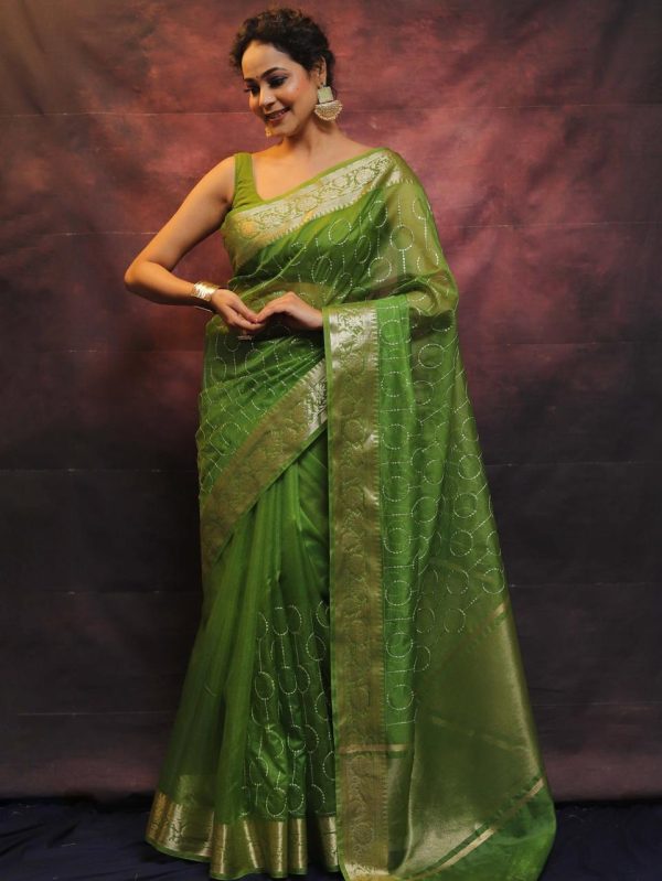 Artful Green Nylon Organza Jacquard Multi Embroidered Saree