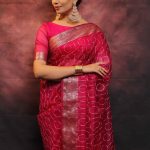 Artful Red Nylon Organza Jacquard Multi Embroidered Saree