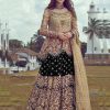 Fine Black Heavy Net Coding sequence Embroidery Lehenga Choli