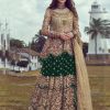 Fine Green Net Coding sequence Embroidery Lehenga Choli
