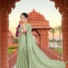Special Green Georgette Chiffon Multiple Zari Pata Design Saree