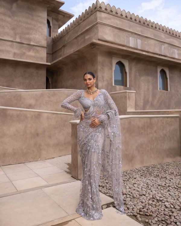 Fancy Silver Color Nylon Butterfly Net Malty & Sequence Saree