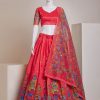Nice Red Silk Embroidery Sequins Amazing Print Lehenga Choli