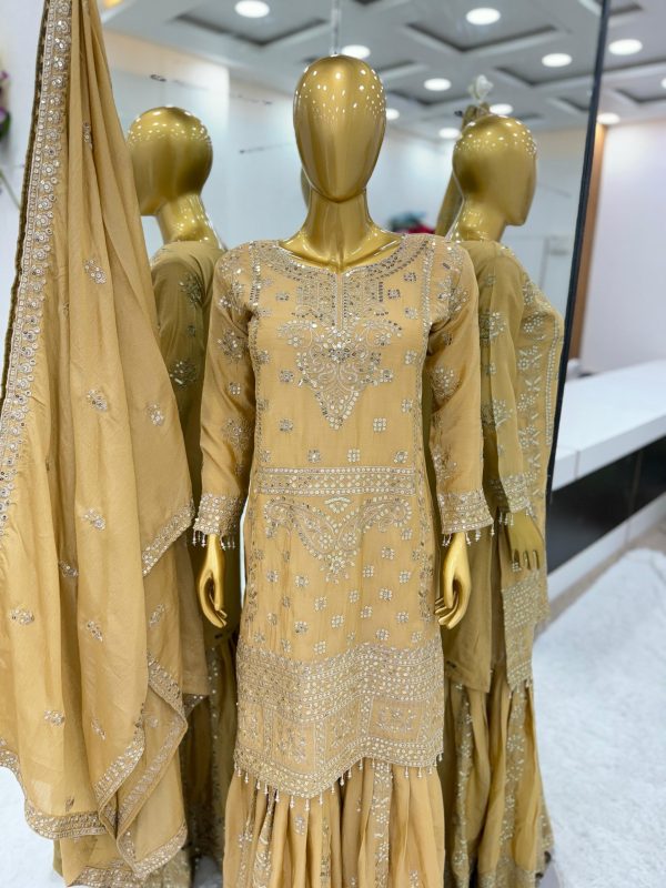 Glamorous Chiku Color Chinnon Embroidery Sequence Salwar Suit