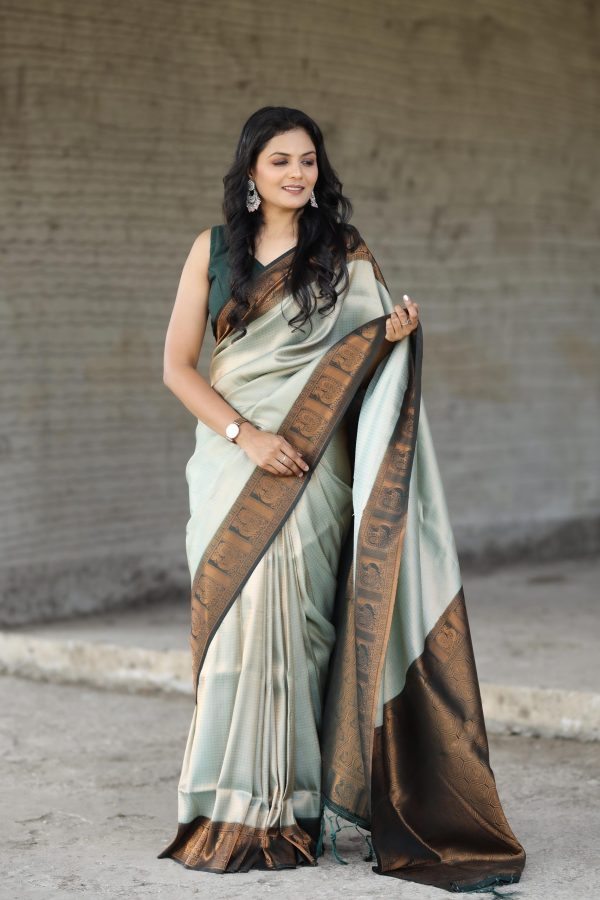Peaceful Cement Color Soft Silk Beautiful Rich Pallu All Over Saree