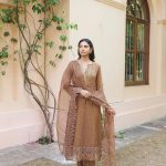 Special Chicco Color Chandhery Silk Embroidery Salwar Suit