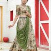 Perfect Chiku Color Malhari Silk Kalamkari Printed Lehenga Choli