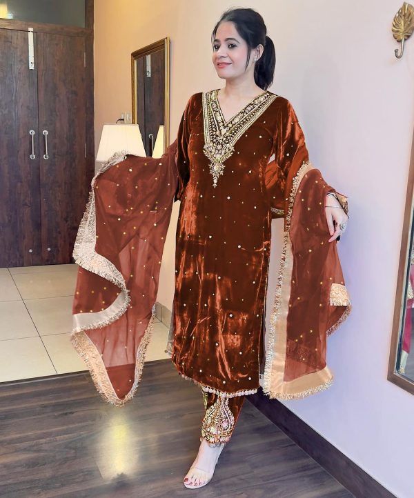 Pretty Brown Color Heavy Pure Viscose Velvet Embroidery Sharara