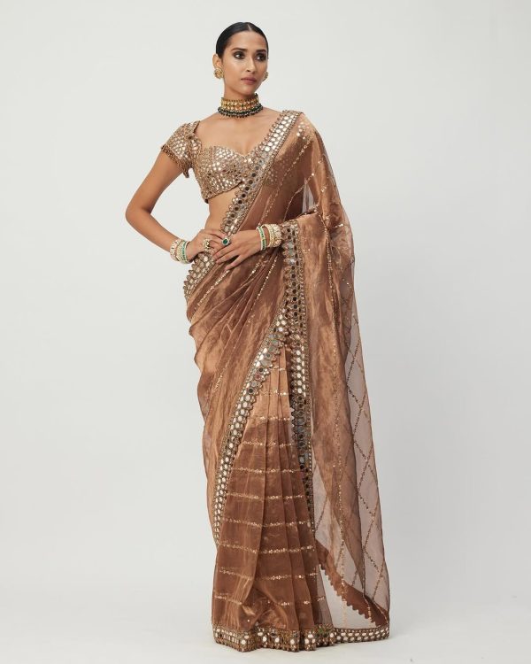 Awesome Mustard Yellow Color Jimmy Chu Embroidery Lace Border Sequins Work Saree