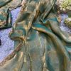 Pretty Green Color Fendi Chiffon Pattern Hand Work Lace Saree
