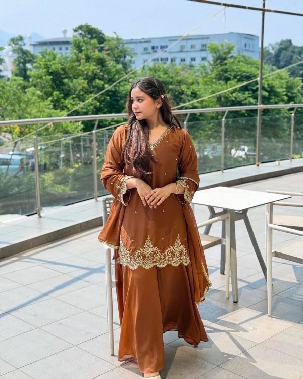 Amazing Rust Color Georgette Sequence Moti Work Salwar Suit