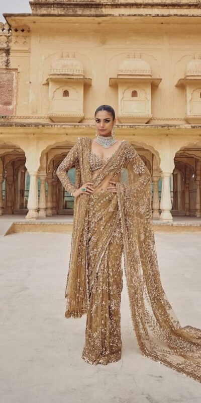 DF 3441 Chiku Color Mono Net Heavy 5mm Sequins Embroidery Work Saree Casual, Wedding, Festive, Events . Expected Delivery 4-6 Working Days @1799/- only | Embroidered Sarees, Bollywood Sarees, Creative Sarees, Designer Sarees, Ethnic Saree, Modern Digital sarees, Party Wear Sarees, Sarees