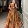 Mustard Narayan pet Zari Gown