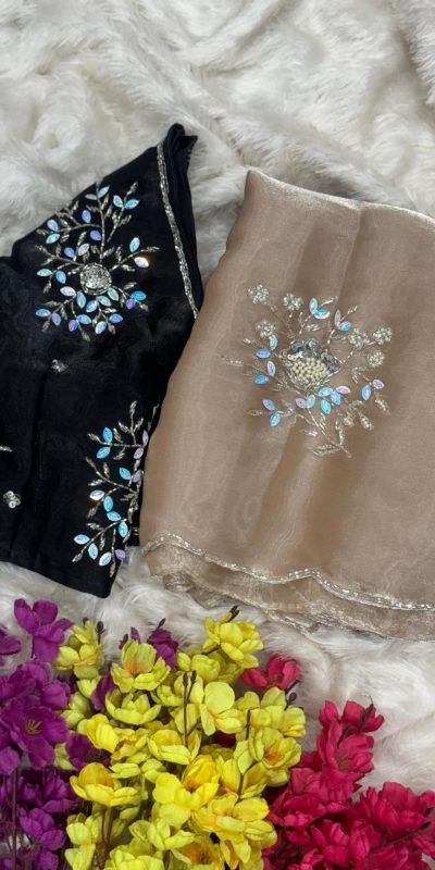 Chiku Soft Jimmy Chuu Lace Border Saree