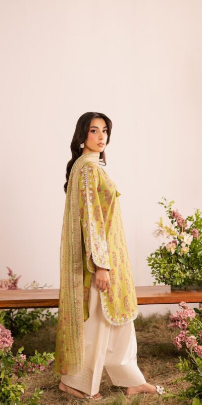 VLM 295 Mustard Crap Salwar Suit Perfect for Wedding, Party, Makar Sankranti, Housewarming, Reception – . Festive Deal ₹2069. Delivery 4-6 Working Days | Casual Suits, Jump Suits, Creative suits, Designer Suits, Palazzo Suits, Party Wear Suits, Patiala Suits, Salwar suit, Straight Suits