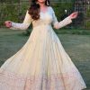 Off White Georgette With Embroidery Gown