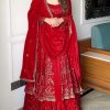 Red Crunchy Silk Lace Embroidery Work Gown