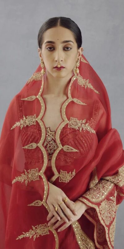 DF Queen Red Organza Tissue Saree with Sequins Work & Embroidery. Festive Deal ₹2499. Delivery 4-6 Working Days. Shop now. | Embroidered Sarees, Bollywood Sarees, Creative Sarees, Designer Sarees, Ethnic Saree, Modern Digital sarees, Party Wear Sarees, Sarees