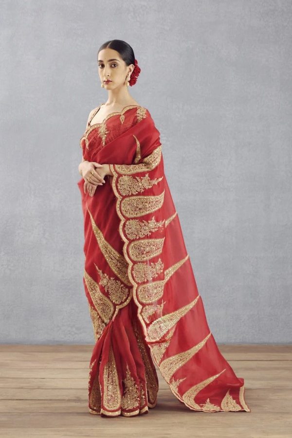 Red Organza Tissue Sequins Work Embroidery Saree