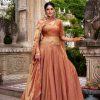 LNB 1440 Rust Fendi Sequins Work & Embroidery Work Lehenga Choli in . Introductory Price ₹2999. Delivery 4-6 Working Days. Shop now. | Creative Lehenga, Bollywood Lehenga, Designer Lehenga, Embroidered Lehenga, Lehenga, Party Wear Lehenga