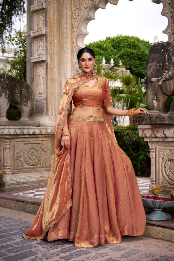 LNB 1440 Rust Fendi Sequins Work & Embroidery Work Lehenga Choli in . Introductory Price ₹2999. Delivery 4-6 Working Days. Shop now. | Creative Lehenga, Bollywood Lehenga, Designer Lehenga, Embroidered Lehenga, Lehenga, Party Wear Lehenga