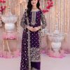 SRK 5238 Wine Faux Georgette With 5mm Embroidery Sequence Work with Beads Work Wedding, Party, Festive, Events, 4-6 Working Days At 2399 | Casual Suits, Jump Suits, Creative suits, Designer Suits, Palazzo Suits, Party Wear Suits, Patiala Suits, Salwar suit, Straight Suits