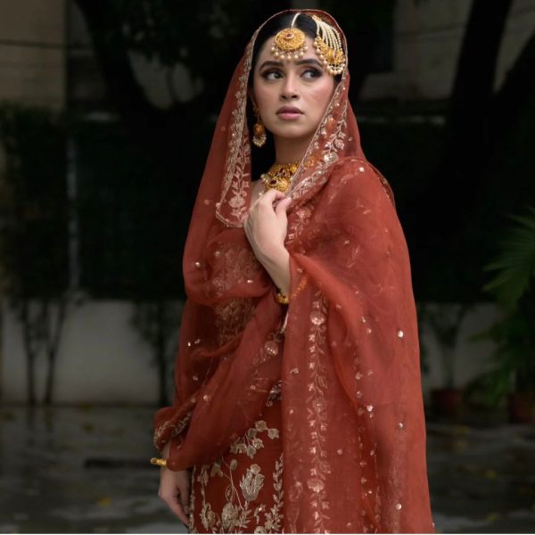 Orange Fox Georgette Embroidery Work Salwar Suit