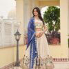 Blue Tissue Silk Embroidery Work Lehenga Choli