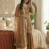 Chiku Georgette With Embroidery Lace Work Salwar Suit