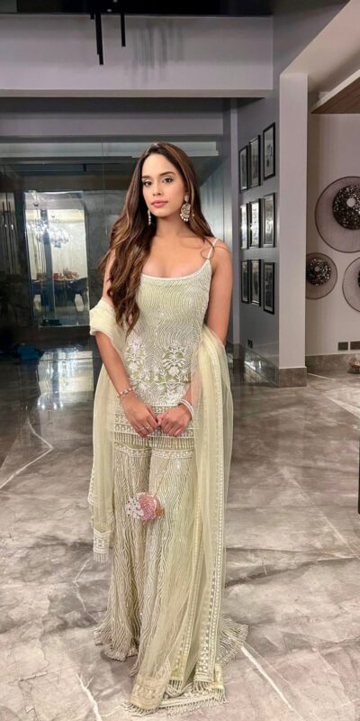 Pista Soft Net Sequence Work Salwar Suit