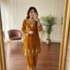 Mustered Velvet Embroidery Mirror Work Salwar Suit