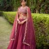 Rani Pink Chanda Silk Sequins Work Lehenga Choli