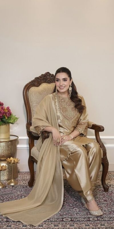 LG 2050 Chiku Fendy Salwar Suit with Embroidery Work. Wedding, Party, Festive, Events, Special Price ₹2049. Delivery 4-6 Working Days. Shop now. | Casual Suits, Jump Suits, Tops & Bottoms, Track Suits, Trendy Wear, Creative suits, Designer Suits, Palazzo Suits, Party Wear Suits, Patiala Suits, Salwar suit, Straight Suits