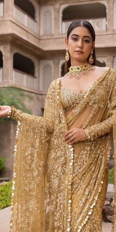 BT 388 Chiku Nylon Butterfly Net Saree with Lace Border & Lace Work. Exclusive Offer ₹1774. Delivery 4-6 Working Days. Shop now. | Creative Sarees, Embroidered Sarees, Bollywood Sarees, Designer Sarees, Ethnic Saree, Modern Digital sarees, Party Wear Sarees, Sarees