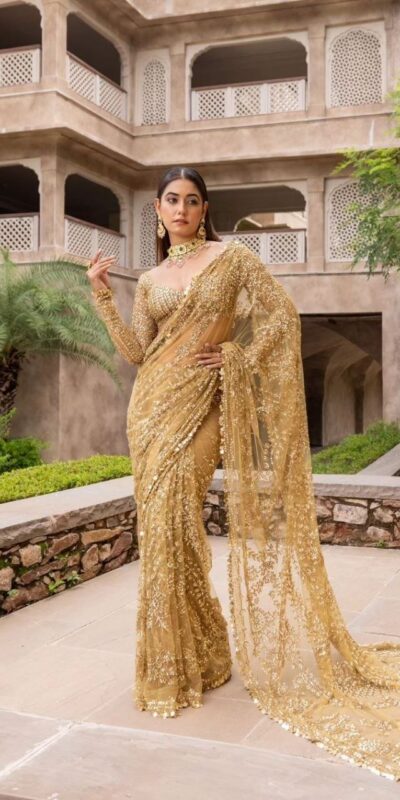BT 388 Chiku Nylon Butterfly Net Saree with Lace Border & Lace Work. Exclusive Offer ₹1774. Delivery 4-6 Working Days. Shop now. | Creative Sarees, Embroidered Sarees, Bollywood Sarees, Designer Sarees, Ethnic Saree, Modern Digital sarees, Party Wear Sarees, Sarees