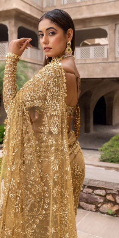 BT 388 Chiku Nylon Butterfly Net Saree with Lace Border & Lace Work. Exclusive Offer ₹1774. Delivery 4-6 Working Days. Shop now. | Creative Sarees, Embroidered Sarees, Bollywood Sarees, Designer Sarees, Ethnic Saree, Modern Digital sarees, Party Wear Sarees, Sarees
