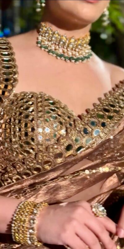 BT 413 Mustered Organza Silk Saree with Mirror Work & Embroidery Work. Introductory Price ₹1999. Delivery 4-6 Working Days. Shop now. | Creative Sarees, Embroidered Sarees, Bollywood Sarees, Designer Sarees, Ethnic Saree, Modern Digital sarees, Party Wear Sarees, Sarees