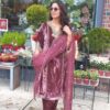 Onion Viscose Velvet Embroidery Work Salwar Suit
