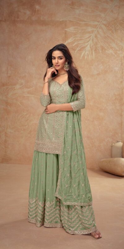 Pista Chinon Sequence Work Salwar Suit