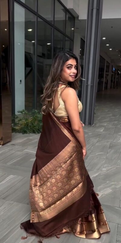 KP 6051 Brown Soft Lichi Silk Saree Perfect for Wedding, Party, Reception, Diwali, Ethnic Day – . Affordable Price ₹1349. Delivery 4-6 Working Days. | Creative Sarees, Bollywood Sarees, Designer Sarees, Embroidered Sarees, Ethnic Saree, Modern Digital sarees, Party Wear Sarees, Sarees