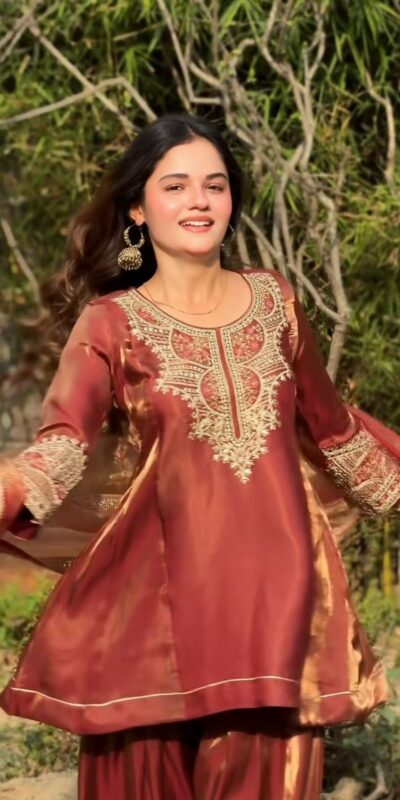 NF 1285 Rust Fandy Silk Salwar Suit with Lace Work & Embroidery Work. Introductory Price ₹2149. Delivery 4-6 Working Days. Shop now. | Casual Suits, Jump Suits, Creative suits, Designer Suits, Palazzo Suits, Party Wear Suits, Patiala Suits, Salwar suit, Straight Suits