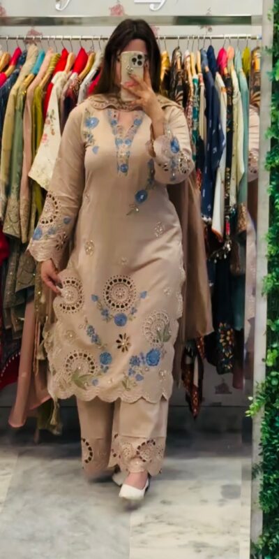 VLM 343 Chiku Roman Salwar Suit with Cut Work & Embroidery Work. Exclusive Offer ₹2449. Delivery 4-6 Working Days. Shop now. | Casual Suits, Jump Suits, Creative suits, Designer Suits, Palazzo Suits, Party Wear Suits, Patiala Suits, Salwar suit, Straight Suits
