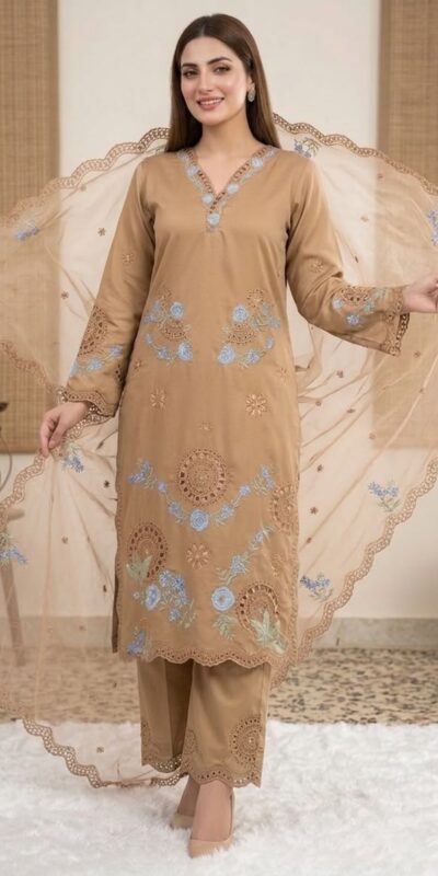 VLM 343 Chiku Roman Salwar Suit with Cut Work & Embroidery Work. Exclusive Offer ₹2449. Delivery 4-6 Working Days. Shop now. | Casual Suits, Jump Suits, Creative suits, Designer Suits, Palazzo Suits, Party Wear Suits, Patiala Suits, Salwar suit, Straight Suits