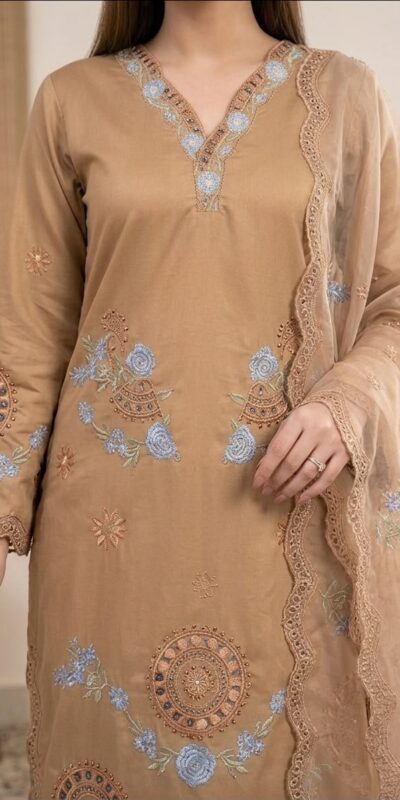 VLM 343 Chiku Roman Salwar Suit with Cut Work & Embroidery Work. Exclusive Offer ₹2449. Delivery 4-6 Working Days. Shop now. | Casual Suits, Jump Suits, Creative suits, Designer Suits, Palazzo Suits, Party Wear Suits, Patiala Suits, Salwar suit, Straight Suits