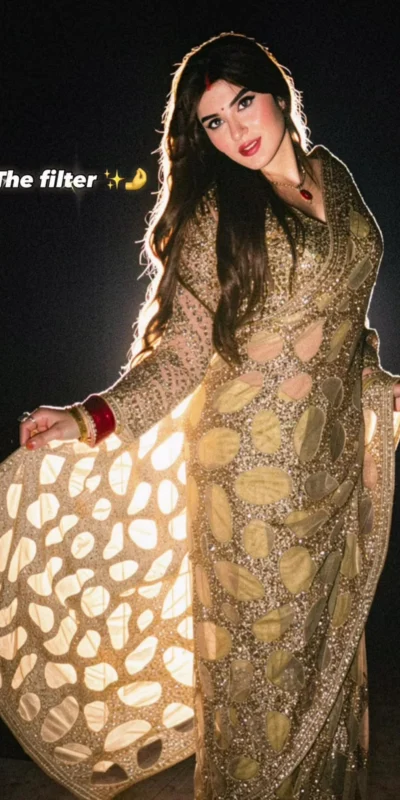 DF 3489 Golden Butterfly Net Saree Sequence with Work & Zari Work. Introductory Price ₹1899. Delivery 4-6 Working Days. Shop now. | Creative Sarees, Bollywood Sarees, Designer Sarees, Embroidered Sarees, Ethnic Saree, Modern Digital sarees, Party Wear Sarees, Sarees