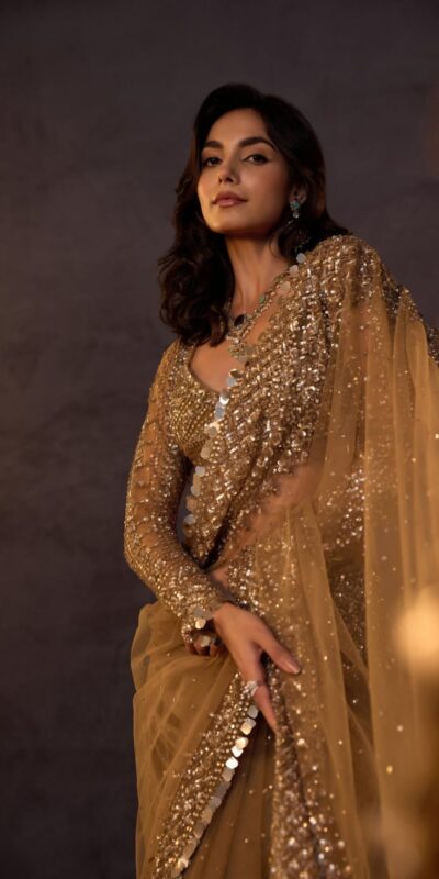 DF 3485 Chiku Butterfly Net Saree Sequence with Work & Zari Work. Introductory Price ₹1999. Delivery 4-6 Working Days. Shop now. | Creative Sarees, Bollywood Sarees, Designer Sarees, Embroidered Sarees, Ethnic Saree, Modern Digital sarees, Party Wear Sarees, Sarees